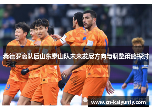 桑德罗离队后山东泰山队未来发展方向与调整策略探讨