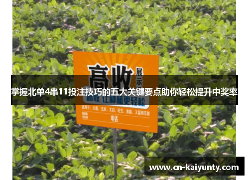 掌握北单4串11投注技巧的五大关键要点助你轻松提升中奖率