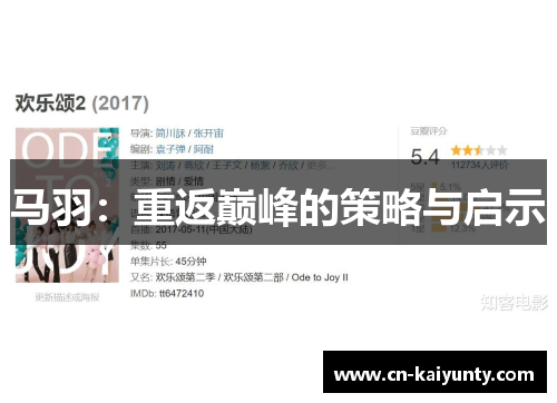 马羽：重返巅峰的策略与启示