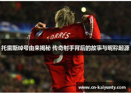 托雷斯绰号由来揭秘 传奇射手背后的故事与昵称起源